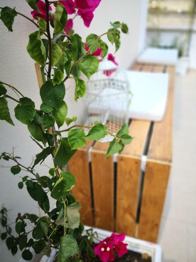 La Roche Bed and Breakfast Lecce Buitenkant foto